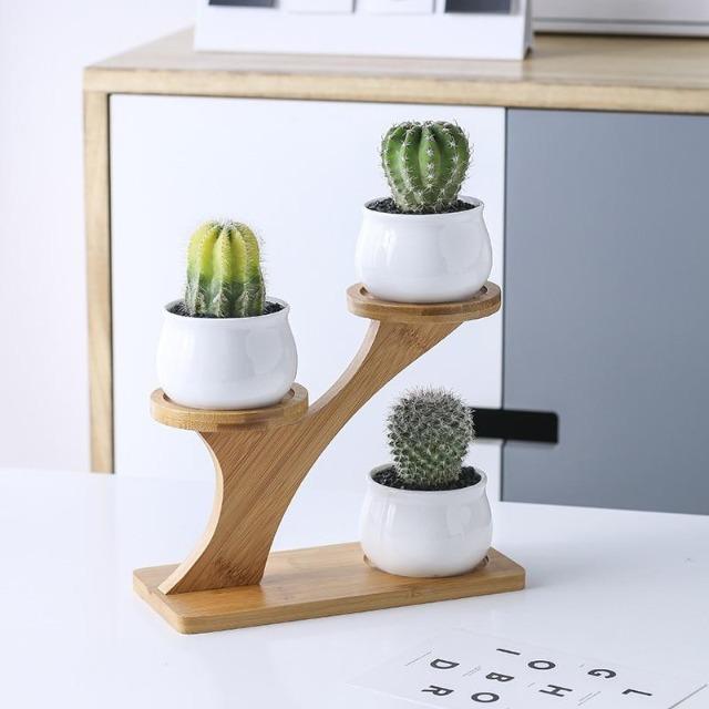 Mia - Creative Ceramic Succulent Pot - Nordic Side - Decor, Modern Planters, VASES/POTS