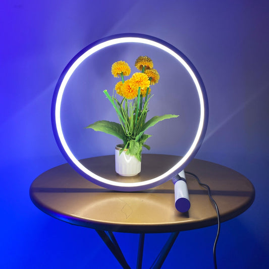 Halo Modern Halo Table Lamp | Lamps | NordicAbode.com