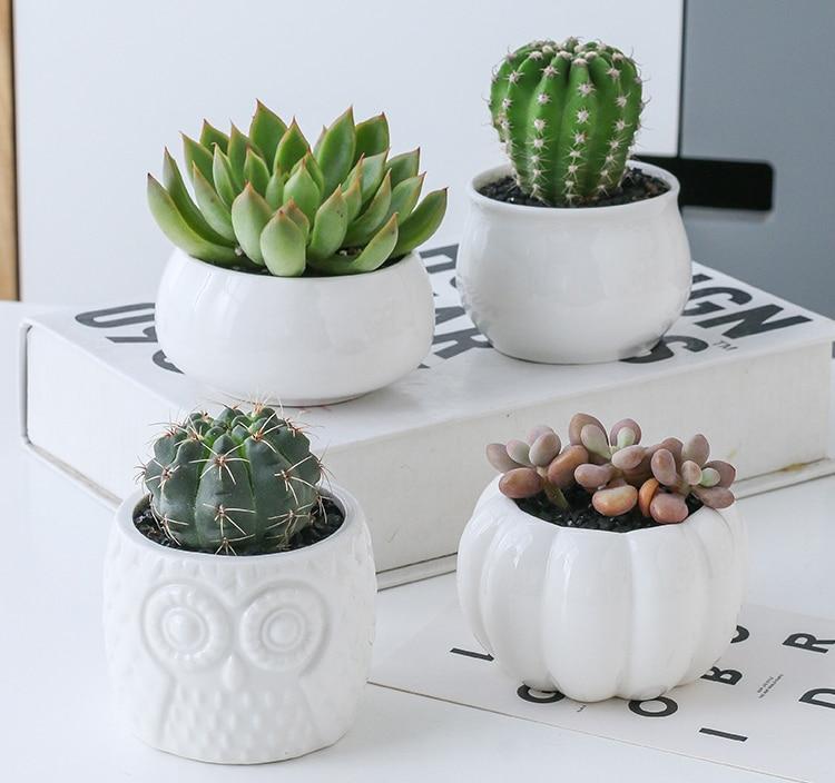 Mia - Creative Ceramic Succulent Pot - Nordic Side - Decor, Modern Planters, VASES/POTS