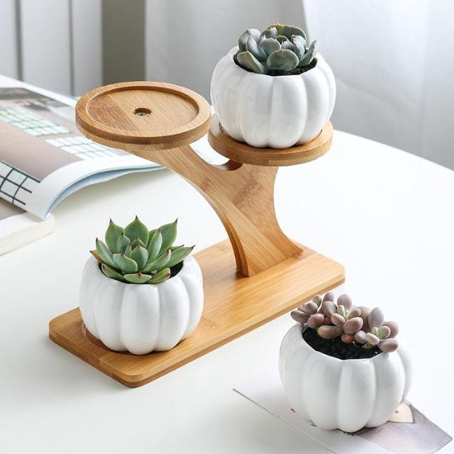 Mia - Creative Ceramic Succulent Pot - Nordic Side - Decor, Modern Planters, VASES/POTS