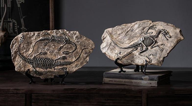 Dinosaur Fossil Decor Specimen