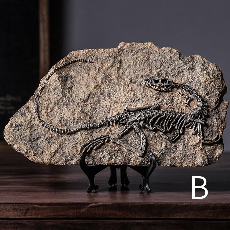 Dinosaur Fossil Decor Specimen