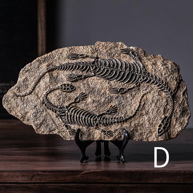 Dinosaur Fossil Decor Specimen