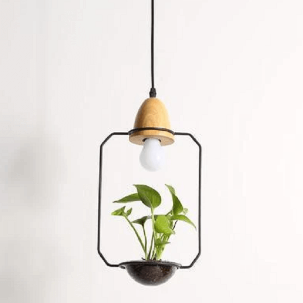 Zox - Modern Nordic Iron Pendant Planter Lamp - Nordic Side - amazing, architecture, arcitecture, art, artist, beautiful, business, canvas, clock, clocks, contemporaryart, decor, decoration, 