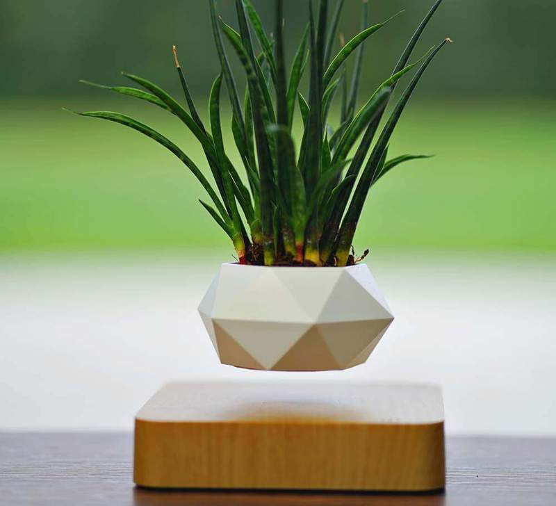 LEVITATING PLANT POT - Nordic Side - 