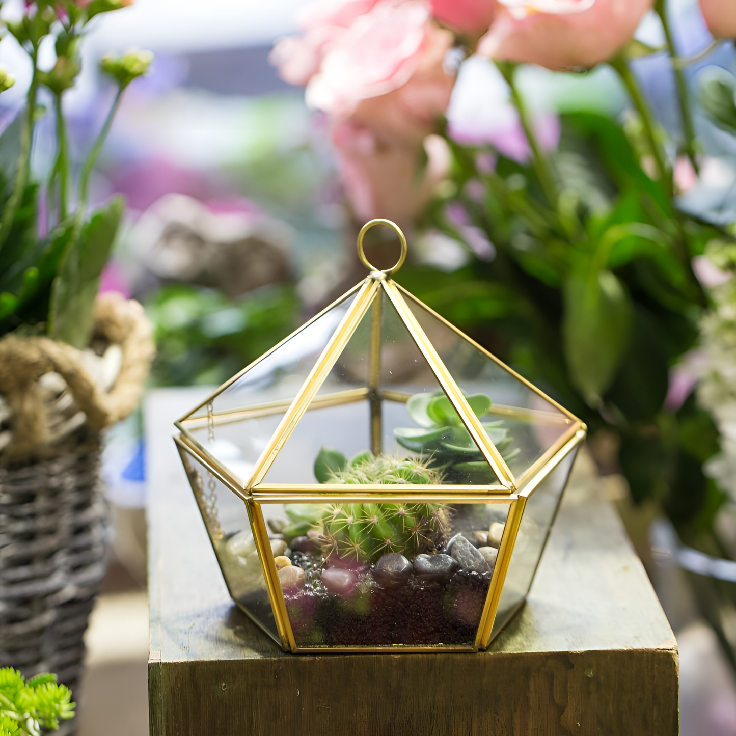 Triangular Geometric Terrarium for Succulents | Terrariums | NordicAbode.com