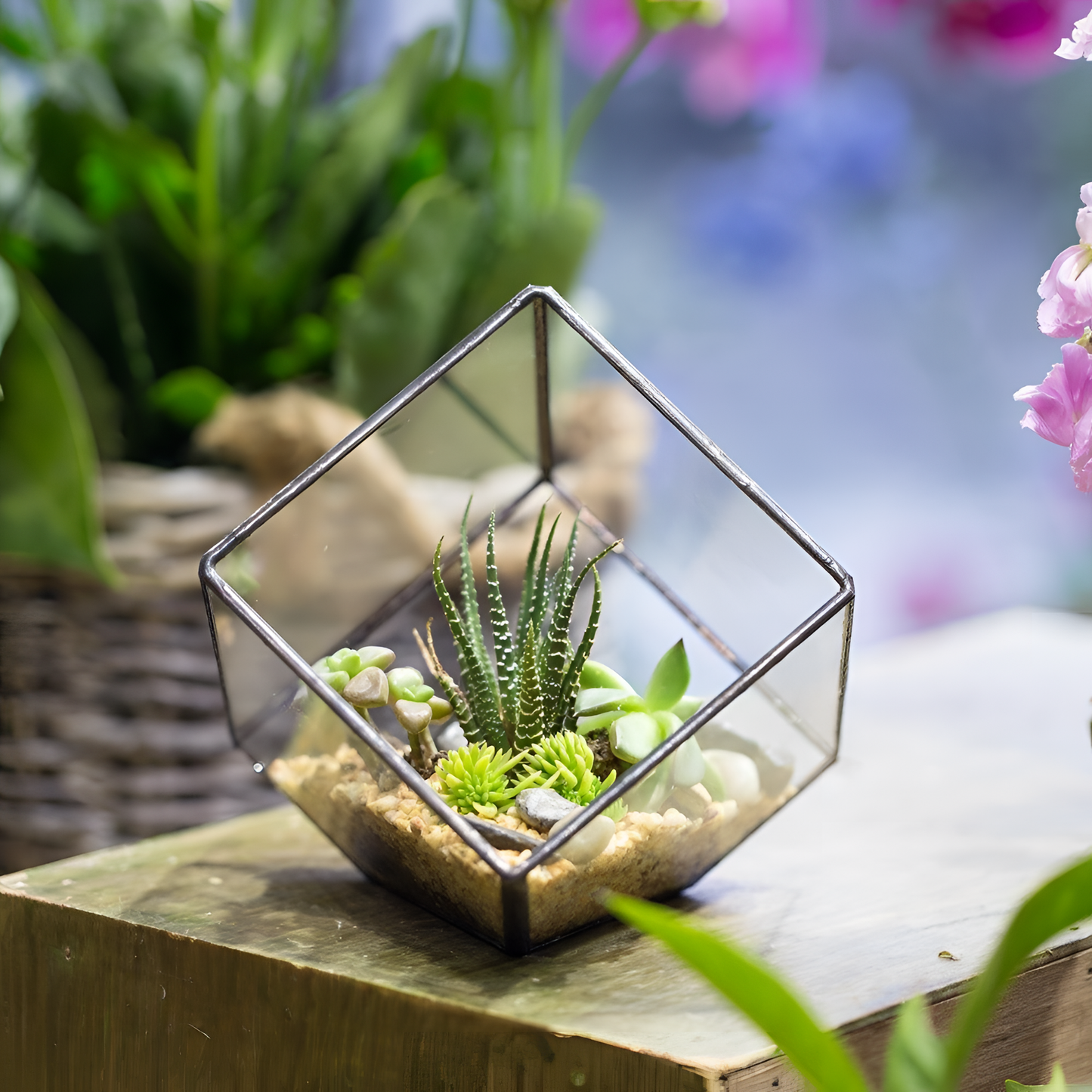 Handmade Trendy Glass Succulent Pots | Pots | NordicAbode.com