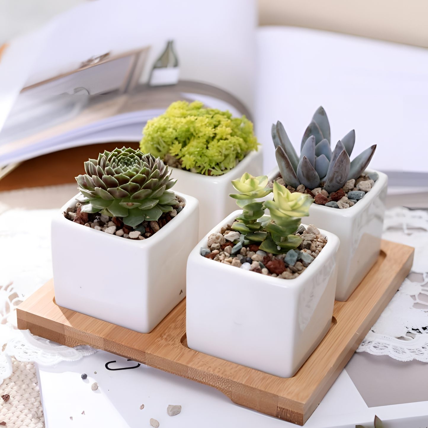 Set 4-Piece Ceramic Pot Set | Planters | NordicAbode.com