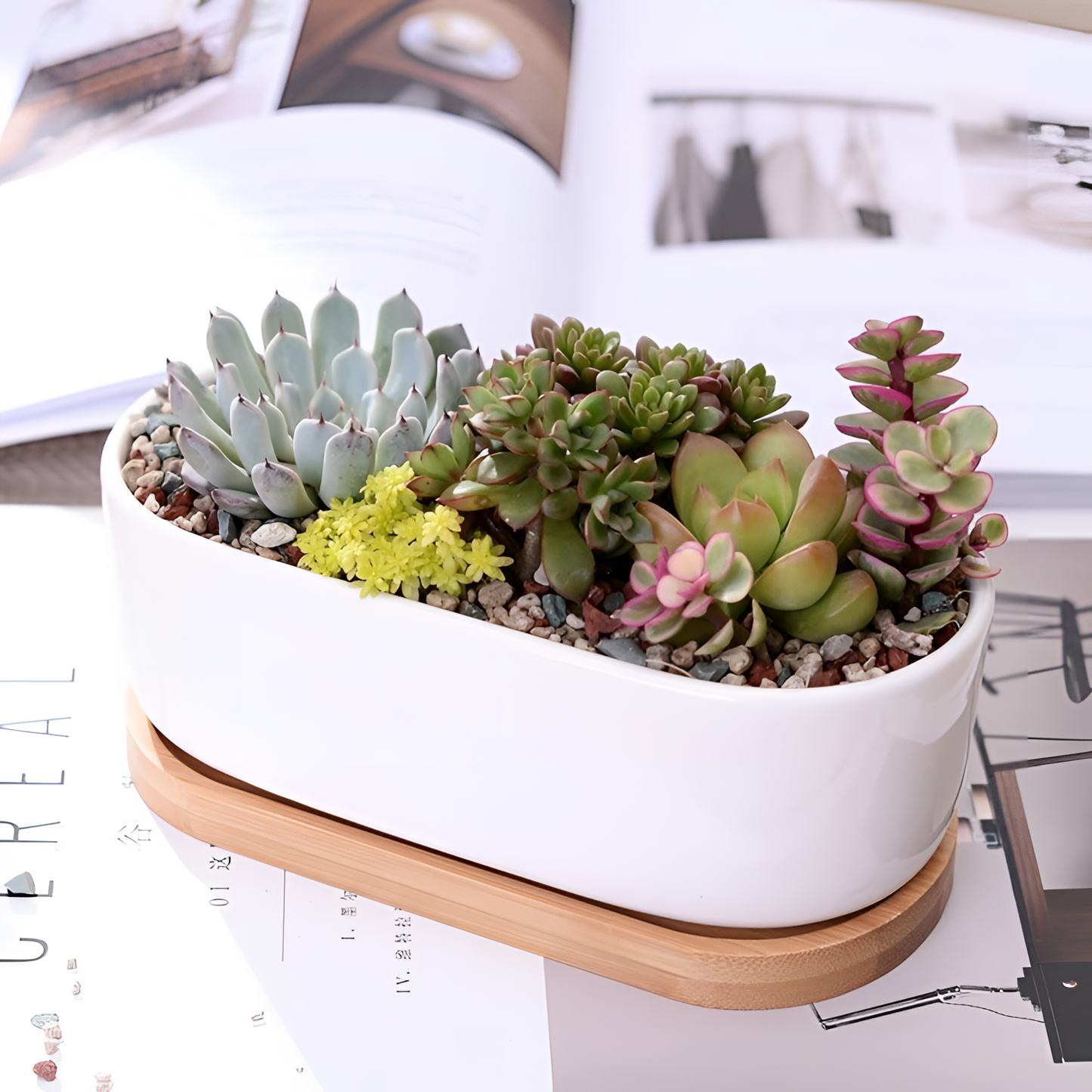 Ceramic Pot with Wooden Tray | Planters | NordicAbode.com