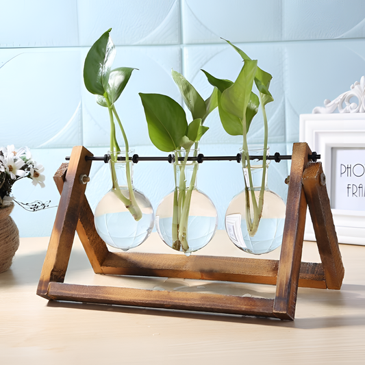 Hydro Blown Glass Hydroponic Plant Display | Planters | NordicAbode.com