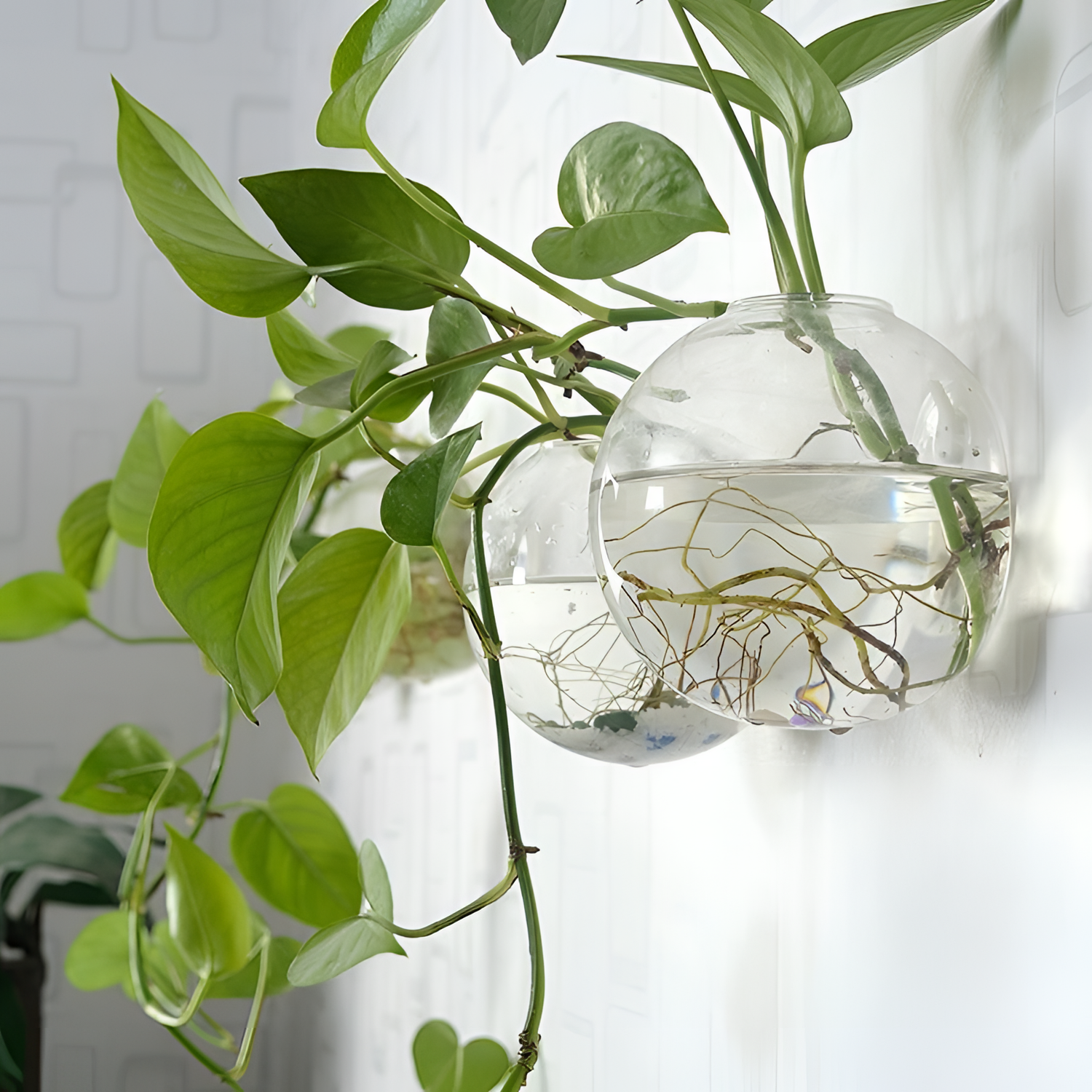 Wall Blown Glass Hanging Vases | Vases | NordicAbode.com