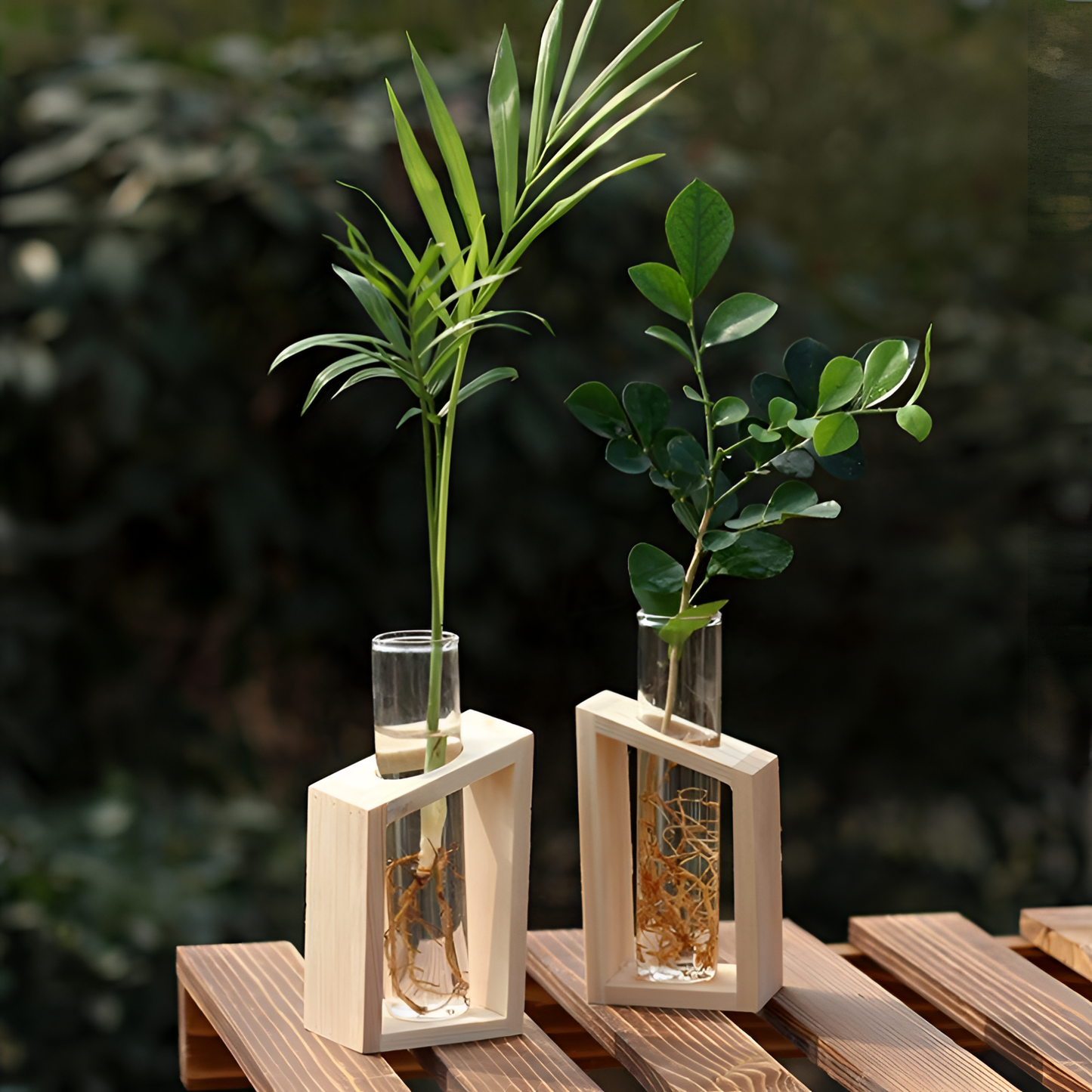 Clara Elegant Hydroponic Glass Planter Set | Planters | NordicAbode.com