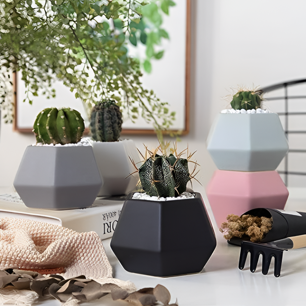 Hexagon Ceramic Hexagon Planters Set | Planters | NordicAbode.com