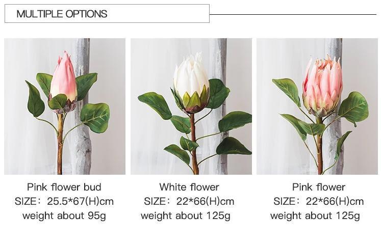 King Protea Bud - Nordic Side - 