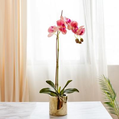 Gold Vase with Orchids - Nordic Side - 