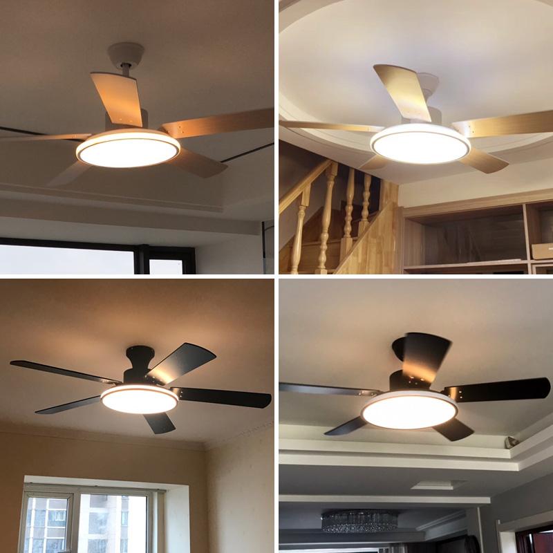 Brady Luxury LED Ceiling Fan