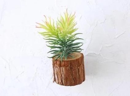 Woody - 3D Imitation Trunk Wall Planter - Nordic Side - 11-18, feed-cl1-planters, modern-farmhouse, modern-planter-collection