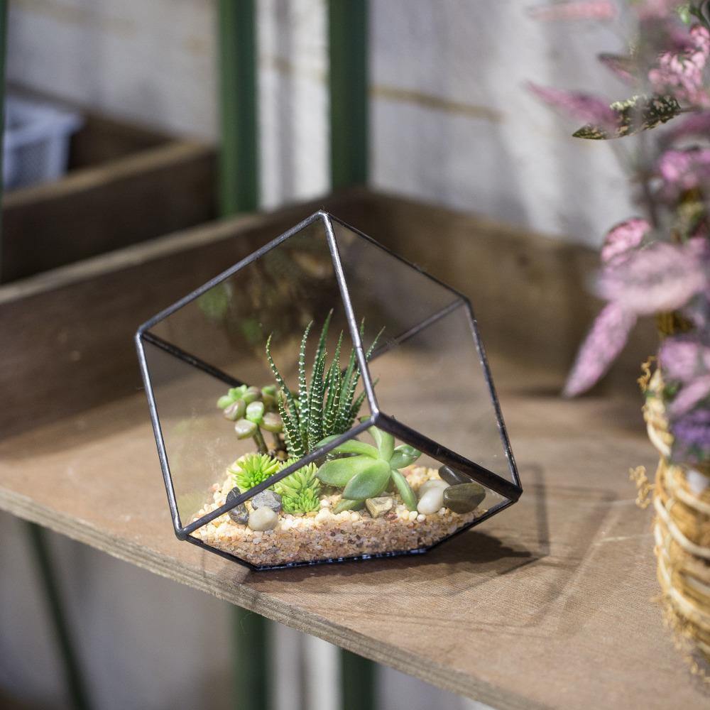 Handmade Terrarium Polyhedron - Nordic Side - 