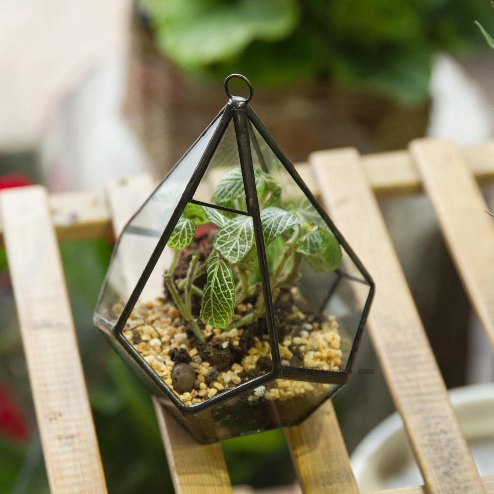 Handmade Terrarium Diamond Holder - Nordic Side - 