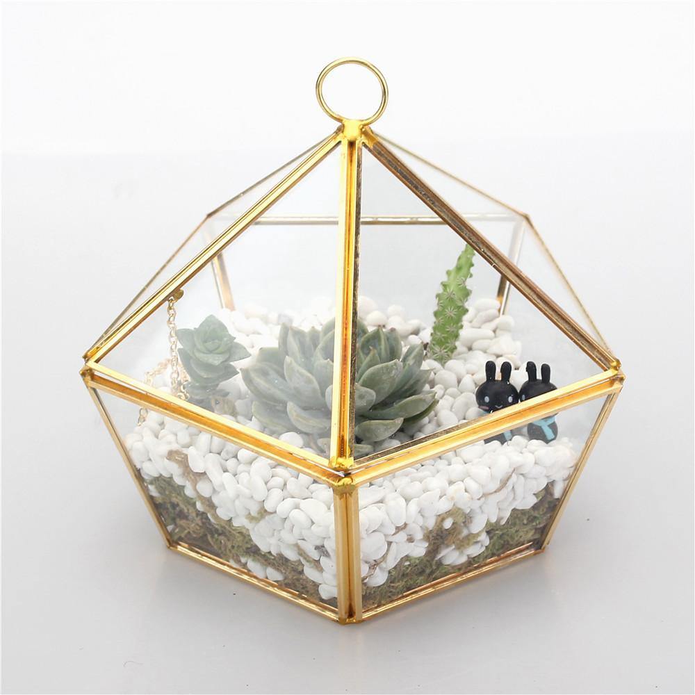 Triangular Roof Terrarium - Nordic Side - 