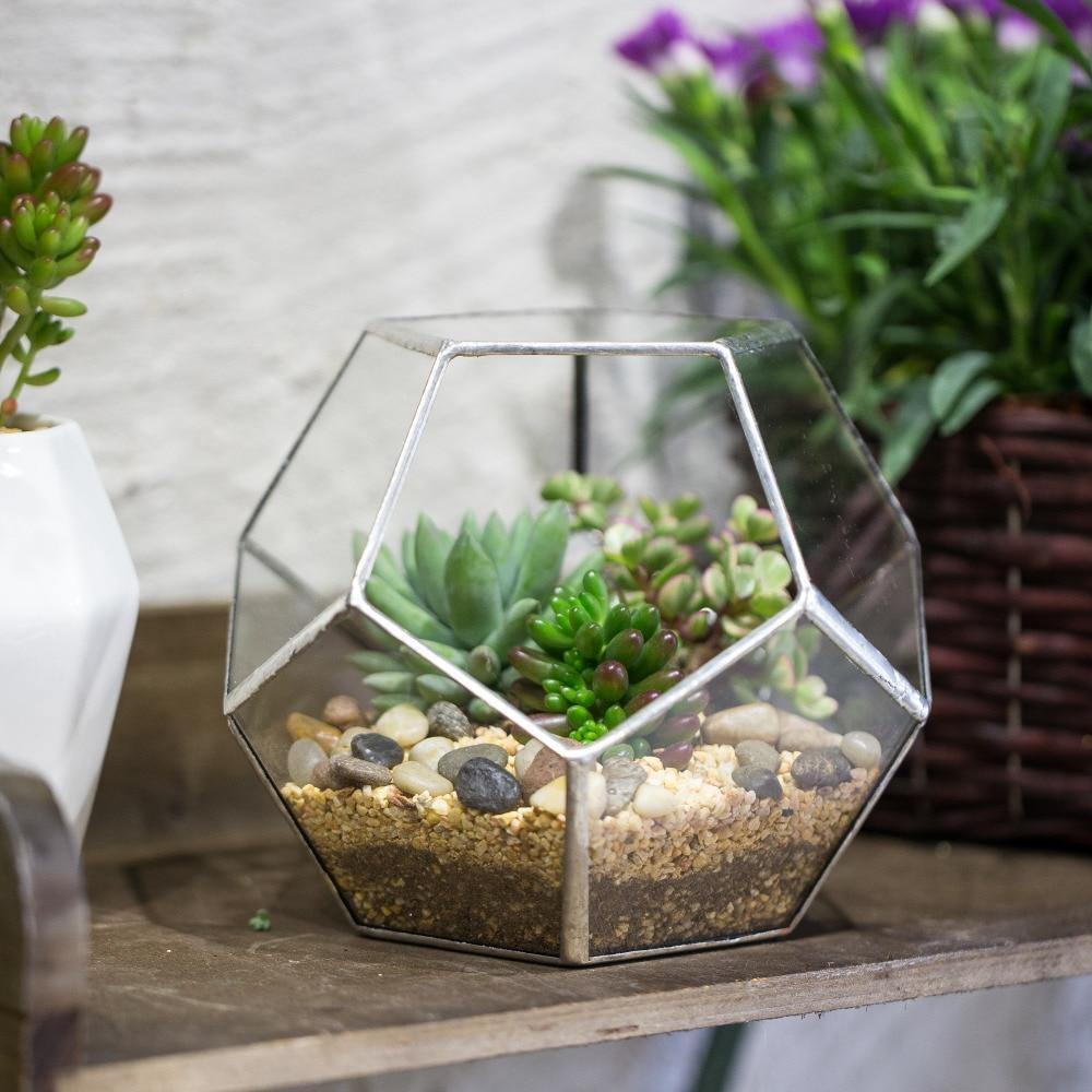 Pentagonal Handmade Terrarium - Nordic Side - 