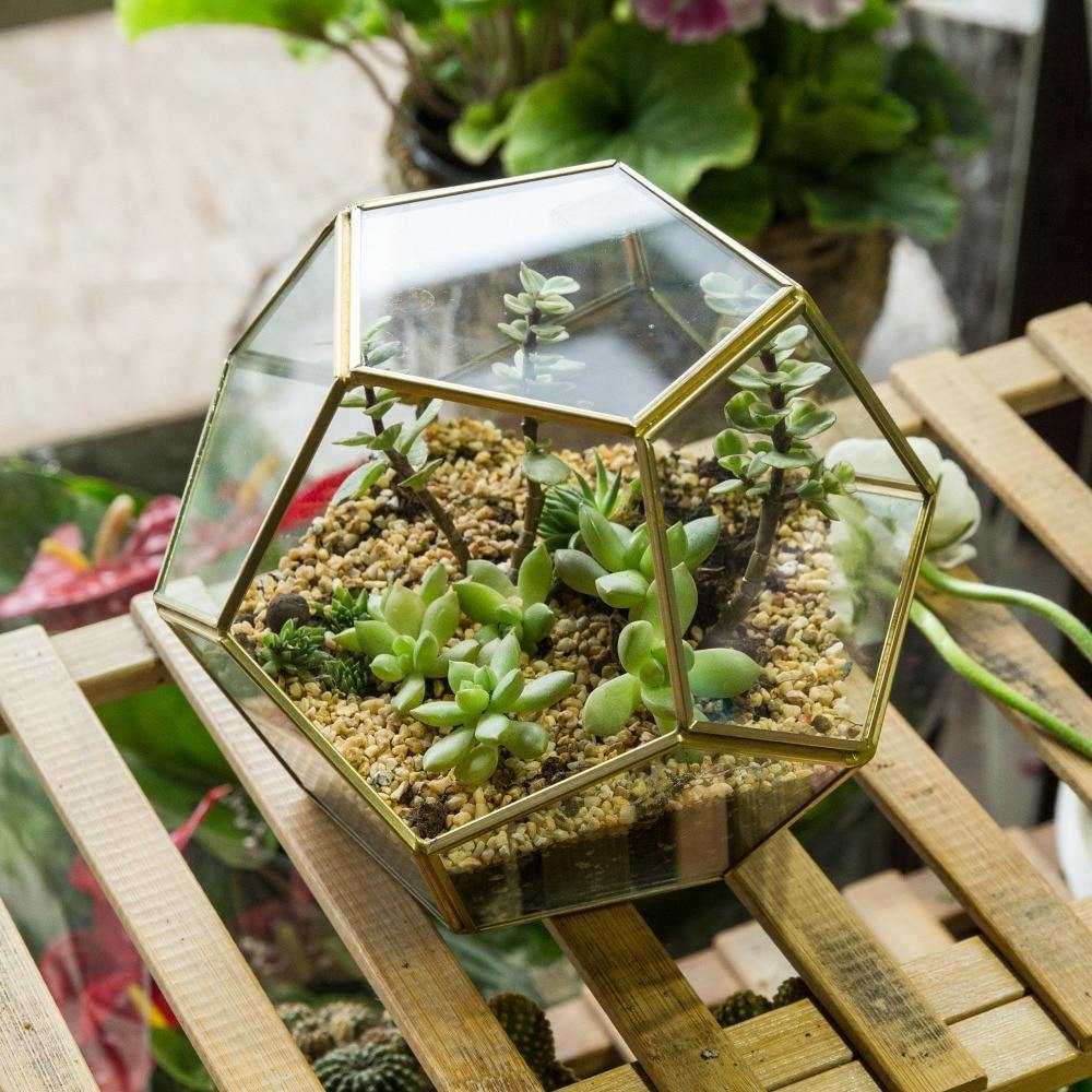 Pentagonal Handmade Terrarium - Nordic Side - 