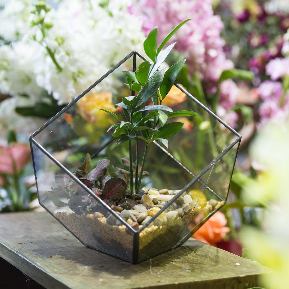 Handmade Terrarium Polyhedron - Nordic Side - 