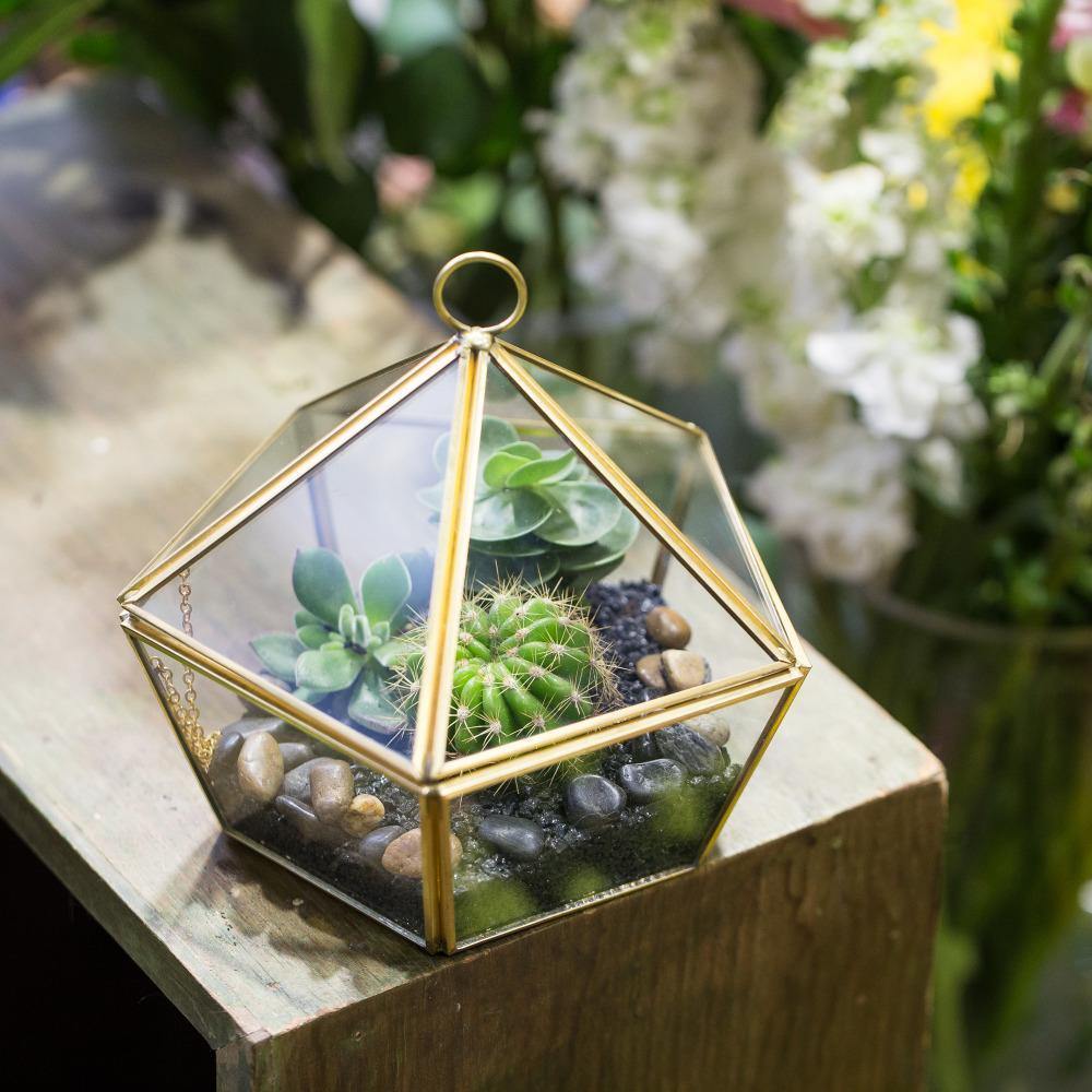 Triangular Roof Terrarium - Nordic Side - 