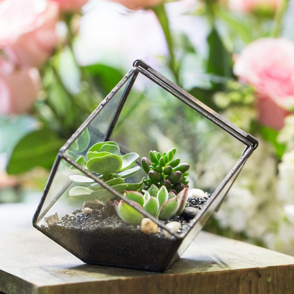 Handmade Terrarium Polyhedron - Nordic Side - 