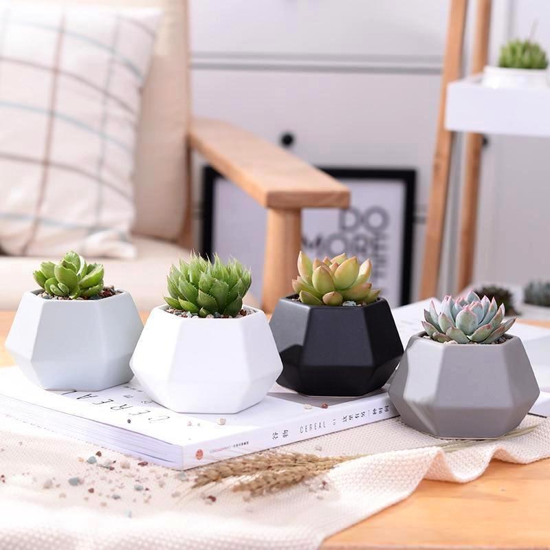 Hexagon Ceramic Planters Set - Nordic Side - 