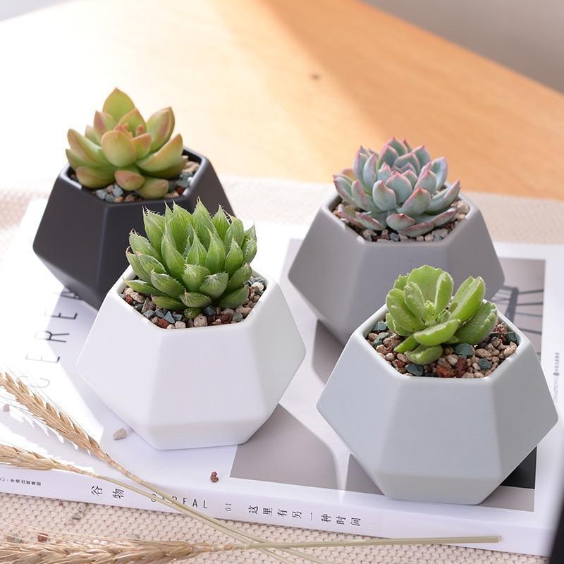 Hexagon Ceramic Planters Set - Nordic Side - 