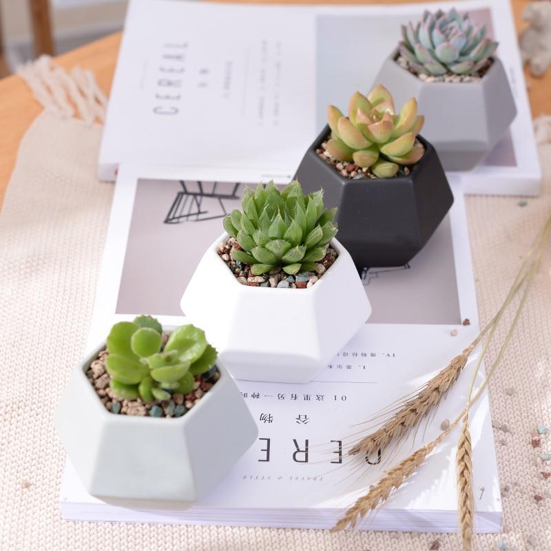 Hexagon Ceramic Planters Set - Nordic Side - 