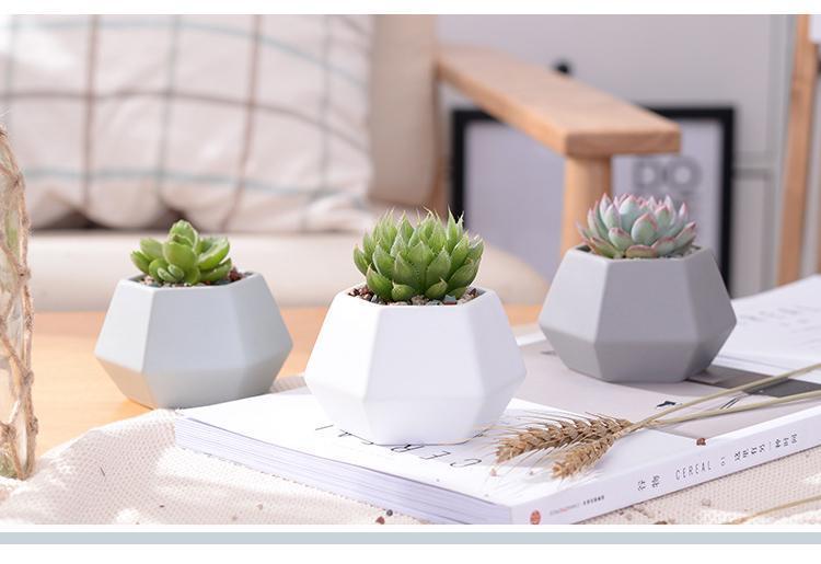 Hexagon Ceramic Planters Set - Nordic Side - 