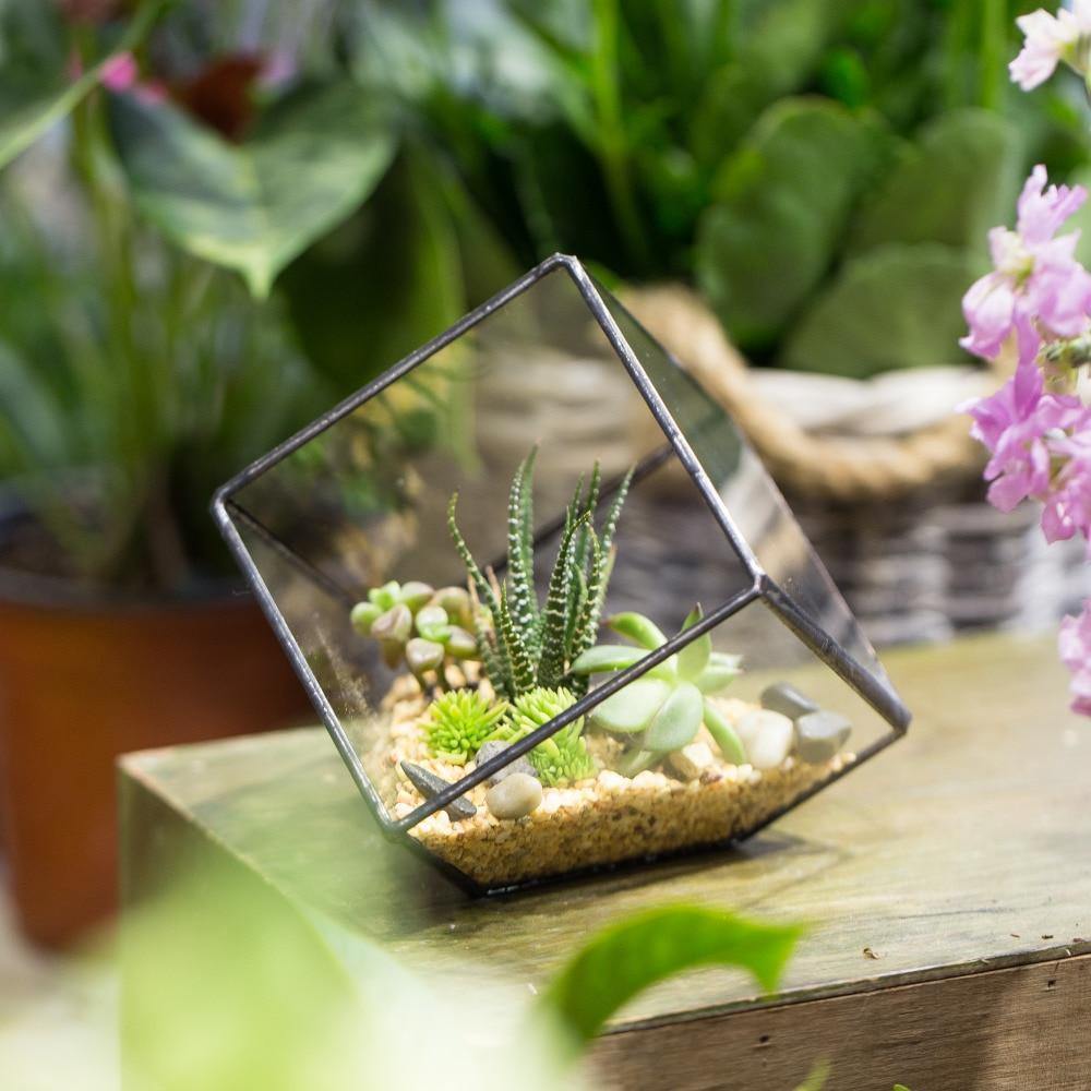 Handmade Terrarium Polyhedron - Nordic Side - 