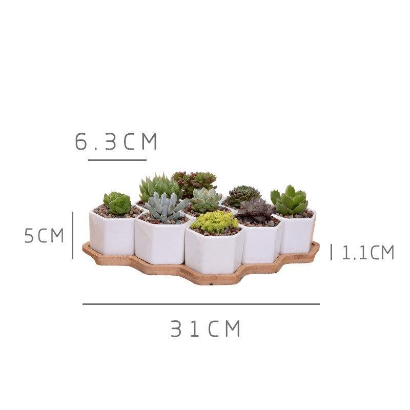 Set of 9 Hexagon Ceramic Pots - Nordic Side - 