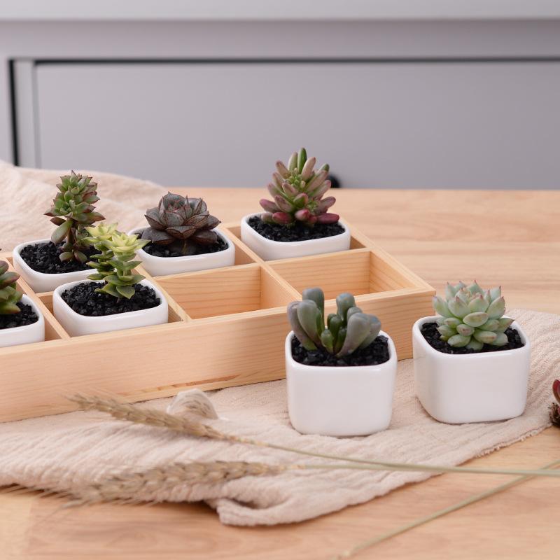 Set of Square Ceramic Pots - Nordic Side - 