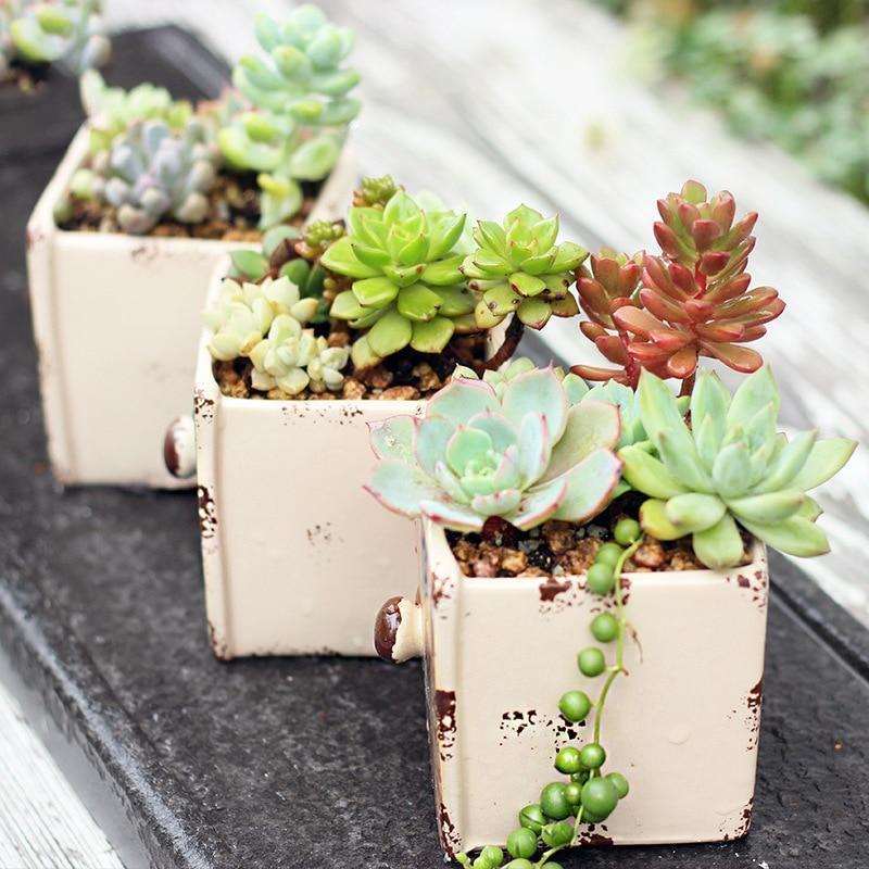 Set of 3 Succulent Planter - Nordic Side - 