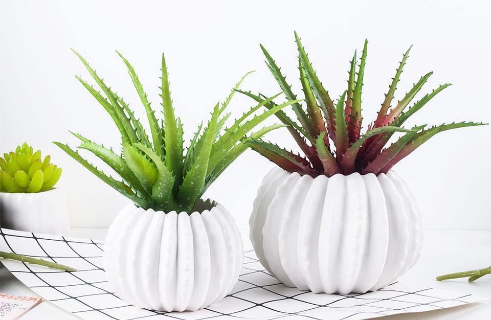 Artificial Aloe - Nordic Side - 