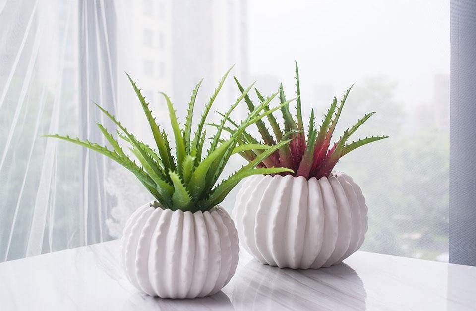 Artificial Aloe Fleshiness Plants - Nordic Side - 