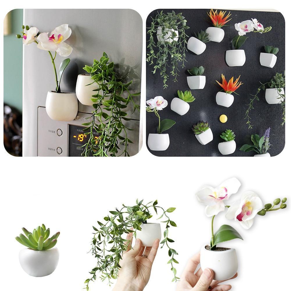 Mini Fridge Magnet Planter - Nordic Side - 11-24