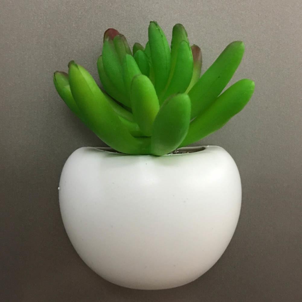 Mini Fridge Magnet Planter - Nordic Side - 11-24