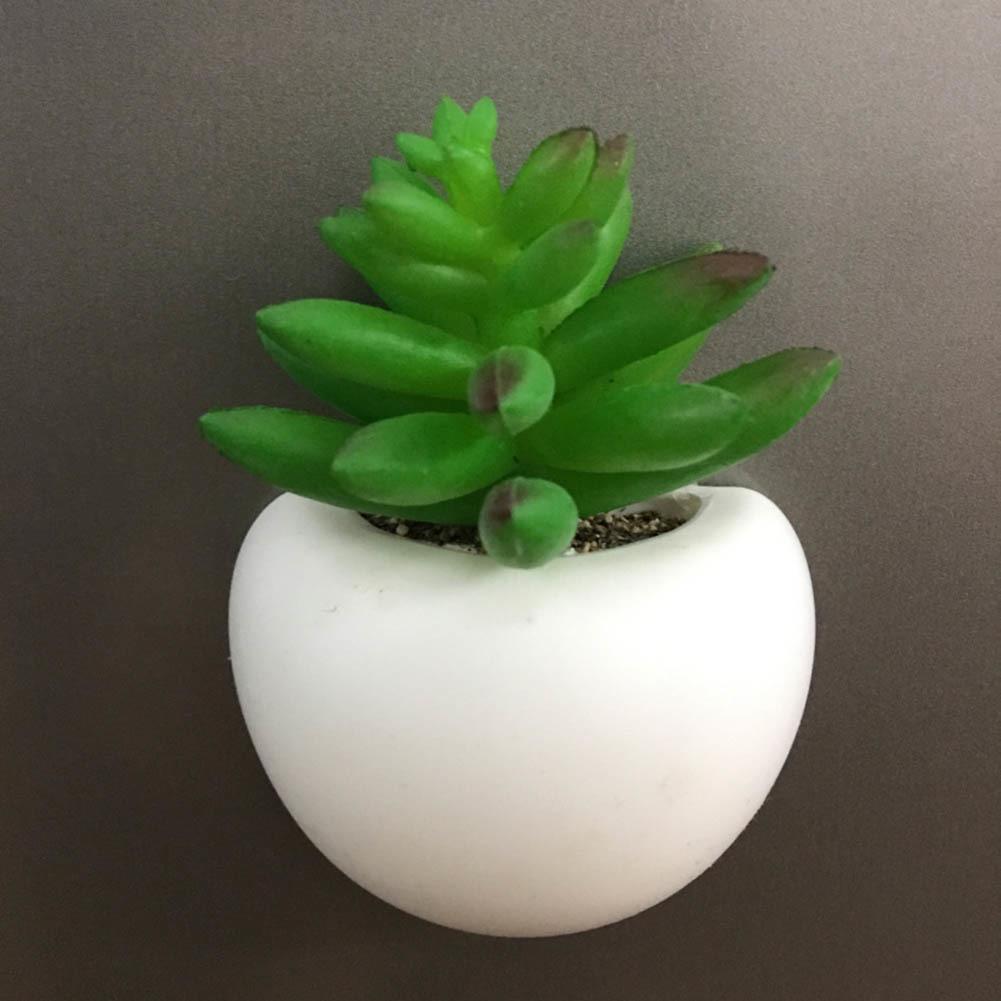 Mini Fridge Magnet Planter - Nordic Side - 11-24