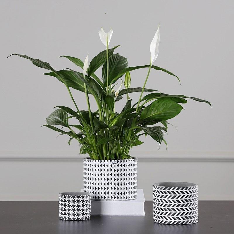 Geometry Pattern Pot - Nordic Side - 