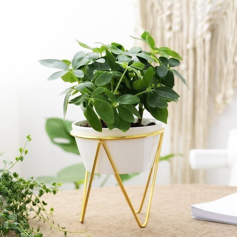 Odalys - Modern Iron Desktop Planter - Nordic Side - 05-10