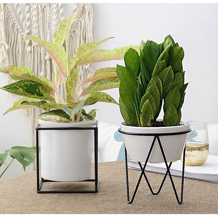 Odalys - Modern Iron Desktop Planter - Nordic Side - 05-10