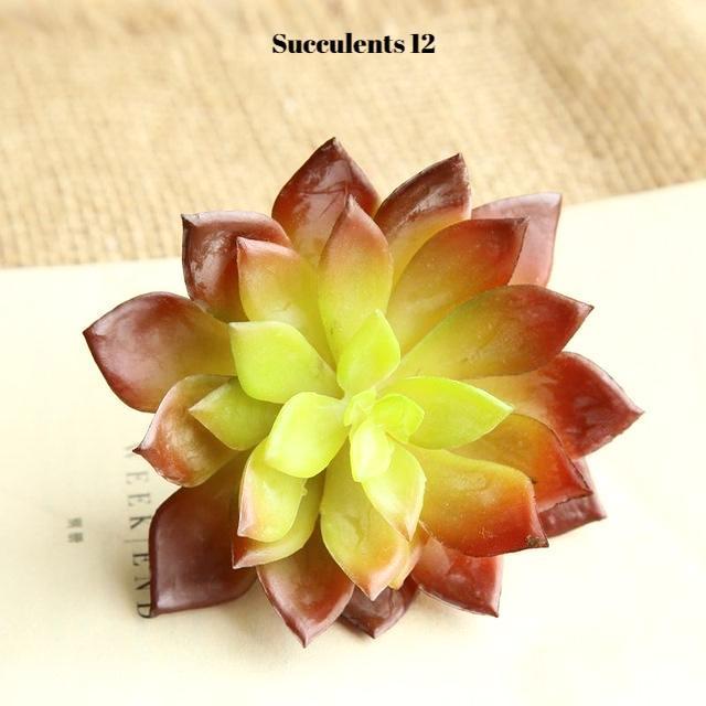 Artificial Succulents Variety - Nordic Side - 