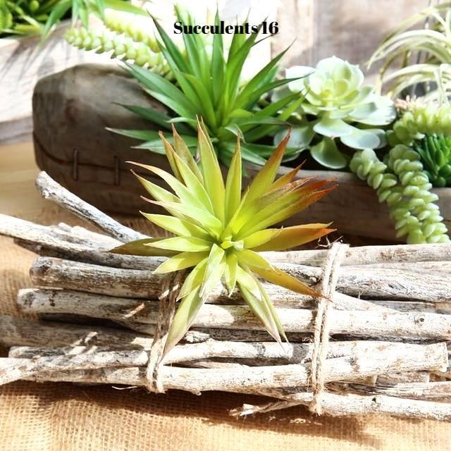 Artificial Succulents Variety - Nordic Side - 