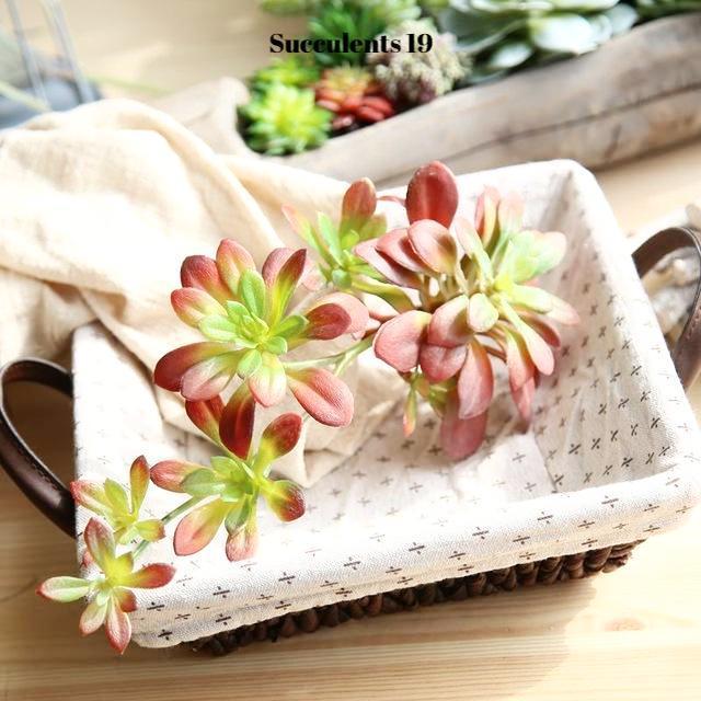 Artificial Succulents Variety - Nordic Side - 