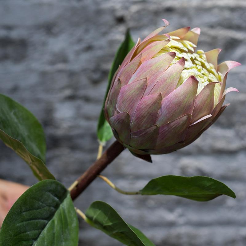 Protea Flower - Nordic Side - 