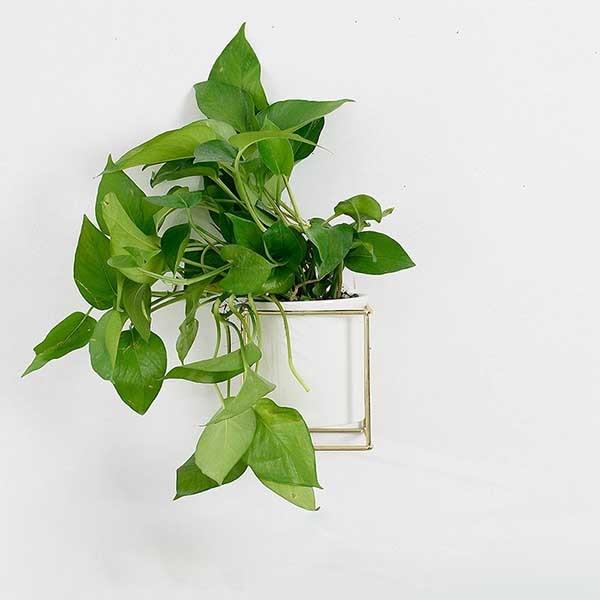 Fenella - Metal Frame Modern Planter - Nordic Side - 09-27, feed-cl1-planters, modern, modern-nordic, modern-pieces, modern-planter-collection, nordic, planter